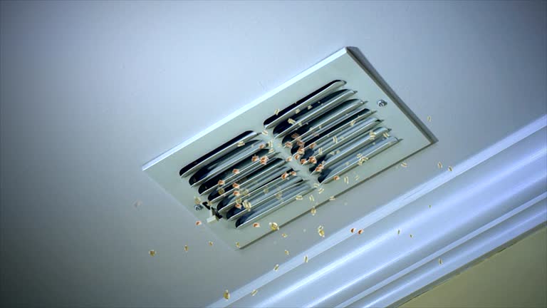 Best Best Air Duct Cleaning Near Me  in Citrus Heights, CA
