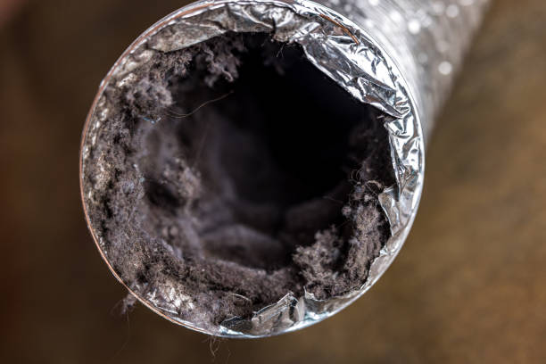 Best Affordable Air Duct Cleaning  in Citrus Heights, CA